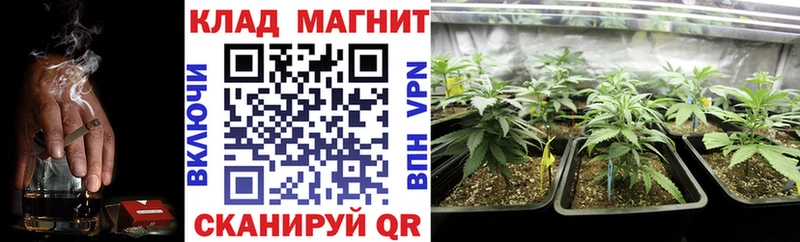 Где купить наркоту Саяногорск Каннабис  Alpha-PVP  ГАШИШ  МЕФ 