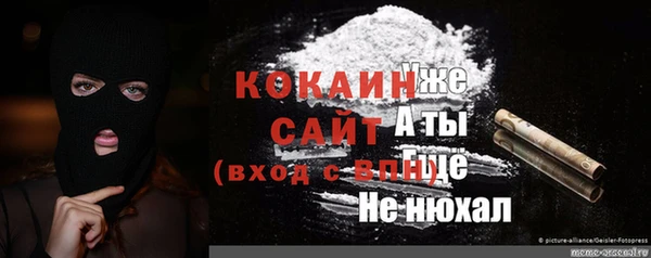 прущие крисы Балахна