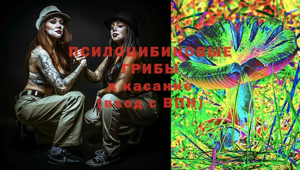 прущие крисы Балахна