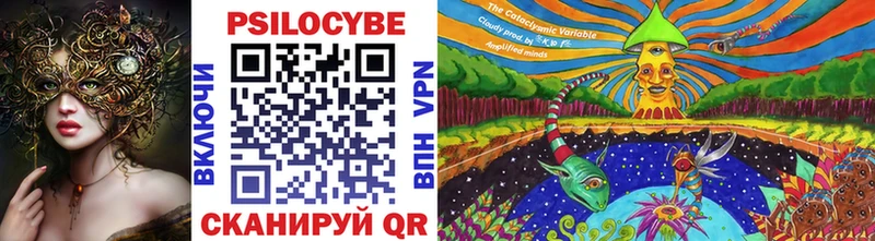 где купить наркотик  Саяногорск  даркнет формула  Галлюциногенные грибы Cubensis 
